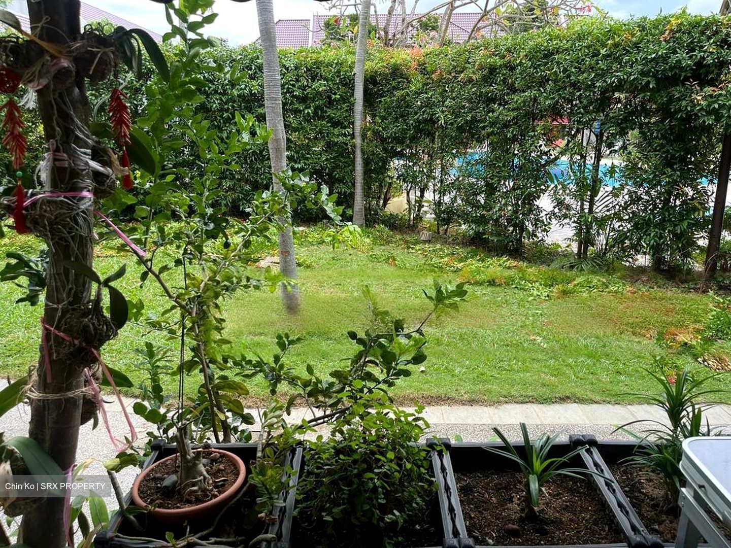 Upper Changi Road (D16), Terrace #455473081